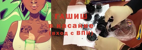 сатива Ельня