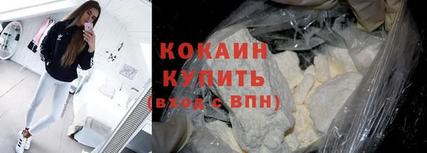 сатива Ельня