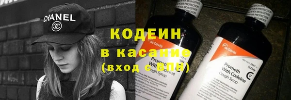 сатива Ельня