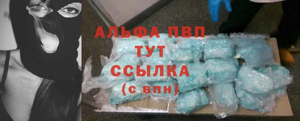 сатива Ельня