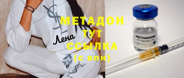 сатива Ельня