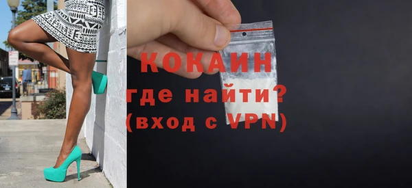 сатива Ельня
