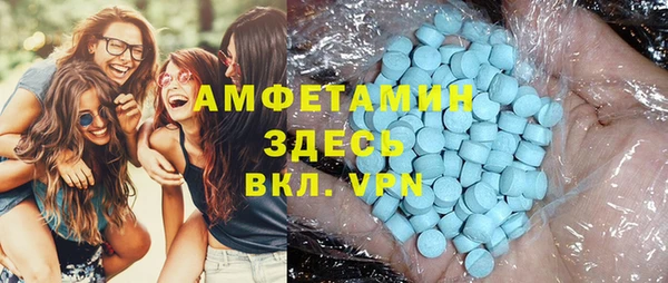 сатива Ельня
