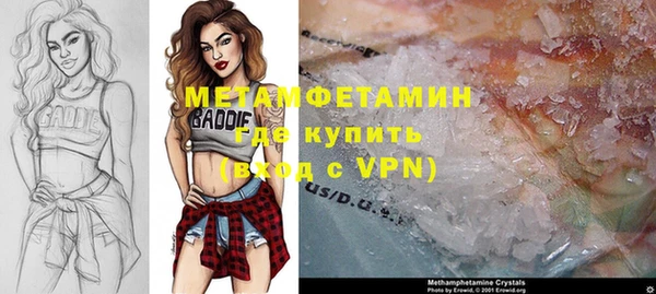 сатива Ельня