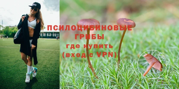 сатива Ельня