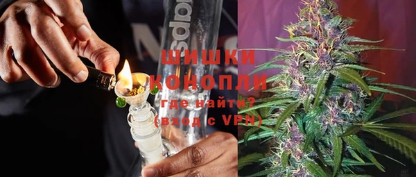дживик Елабуга