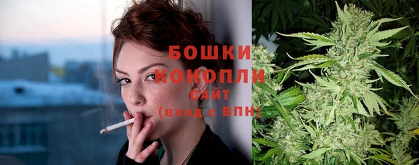 дживик Елабуга